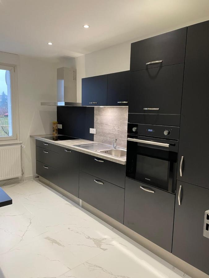 Appartement Les Tilleuls "3 Etoiles" Niederbronn-les-Bains Esterno foto